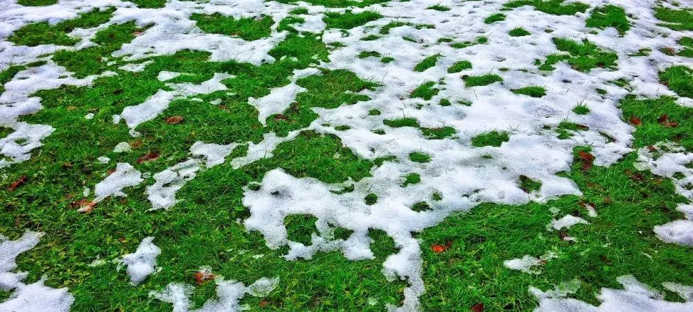 草地上的雪融化了